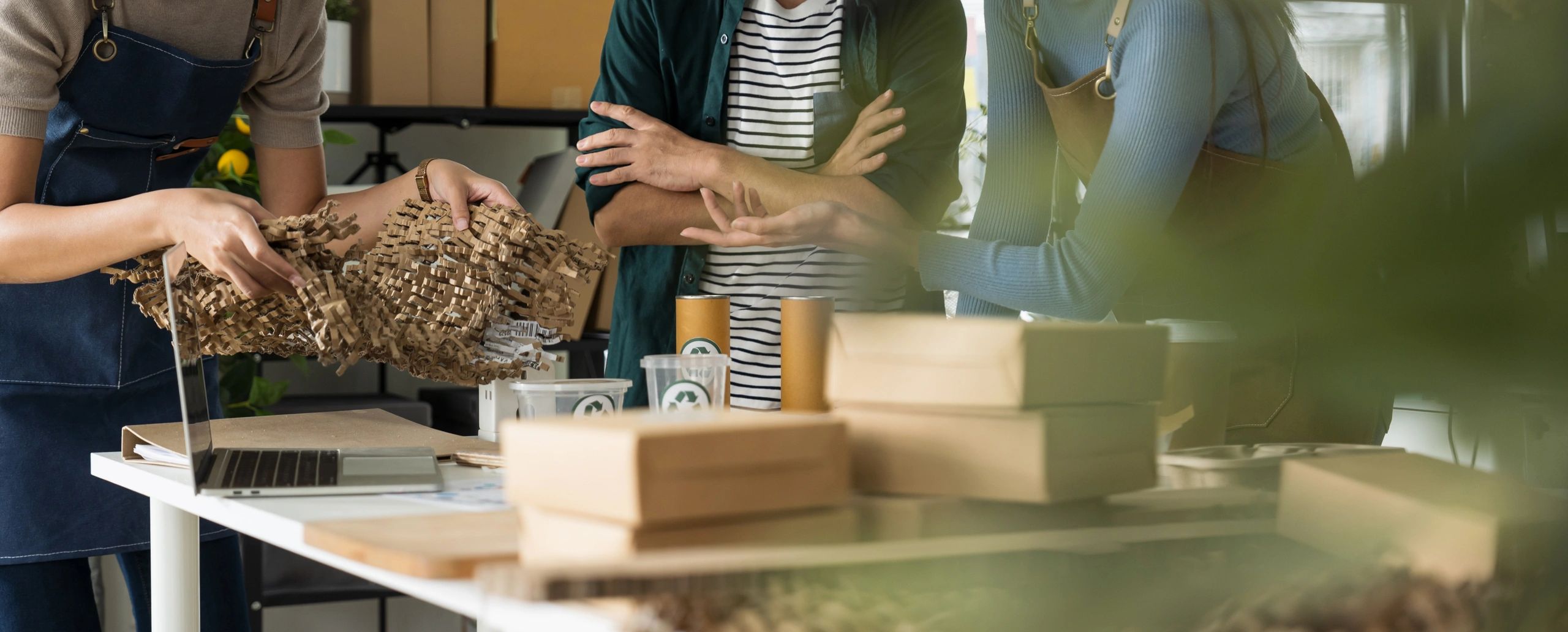 sustainable packaging consultancy modern corporate