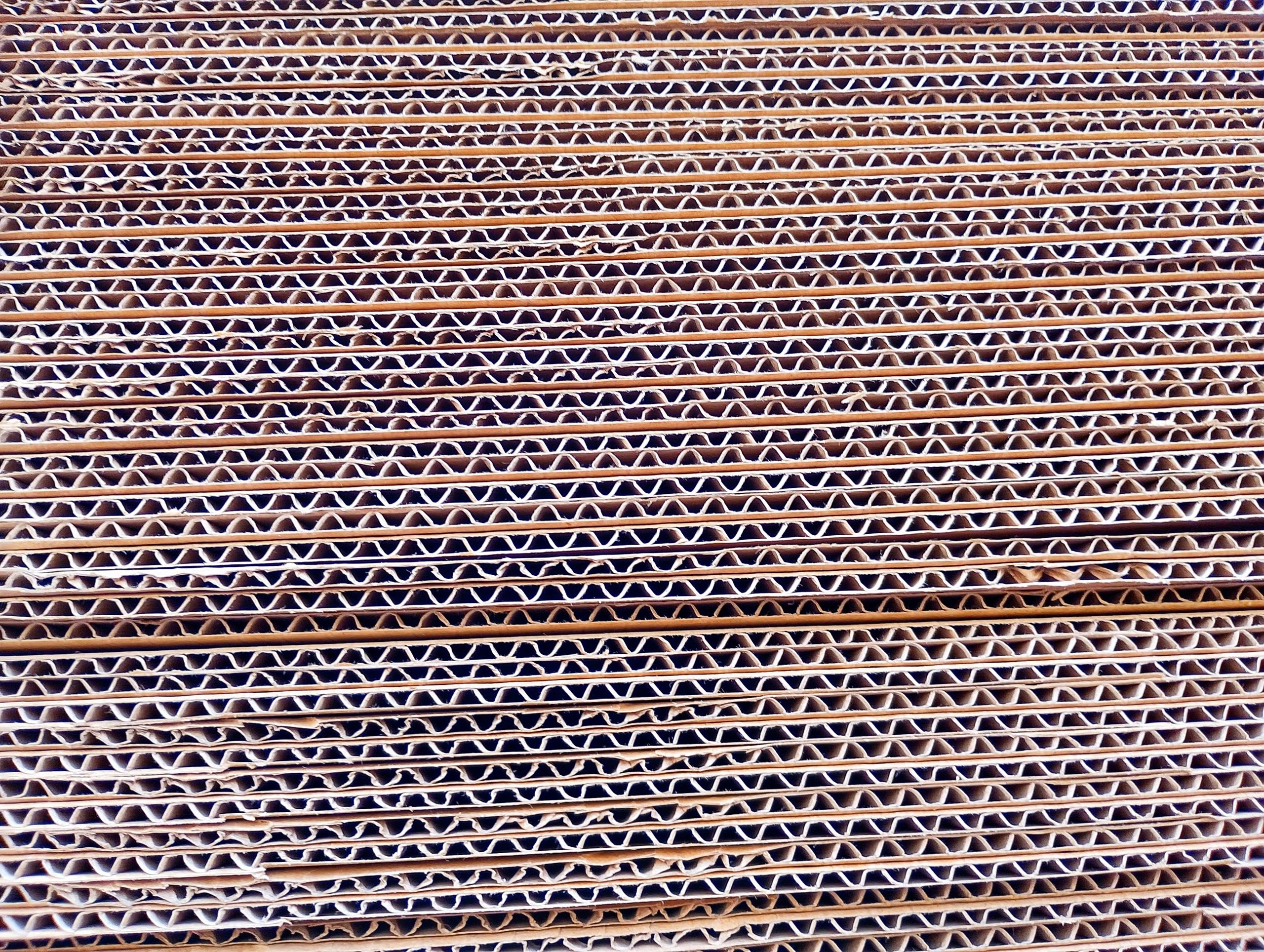 sustainable packaging design Saudi Arabia